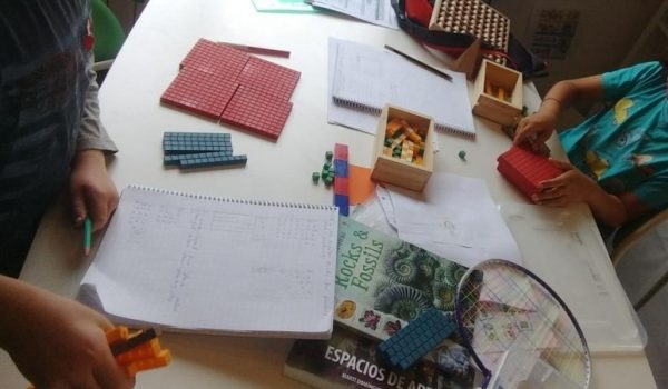 Matemáticas primaria bis
