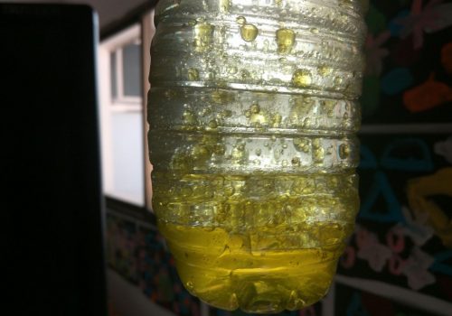 m_o_15827_sr8a5mttt5smarq7ddtjbpvjk4vrfmw2